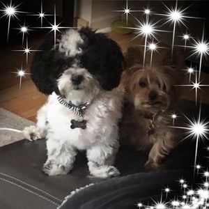 Meet your Posher, Linda